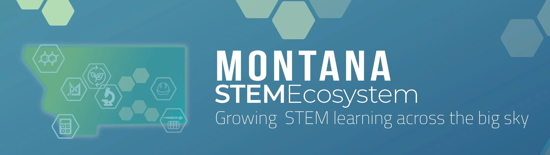 Montana STEM Ecosystems logo