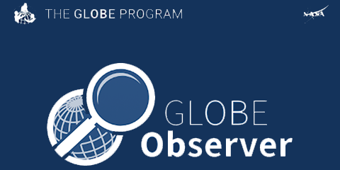 Globe Observer app banner