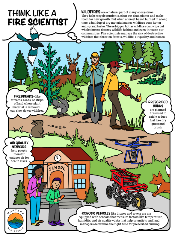 Think Like a Fire Scientist poster screenshot