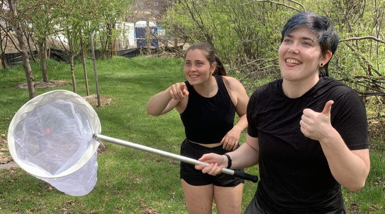 two workshop attendees use a bug net to capture bees for data collection
