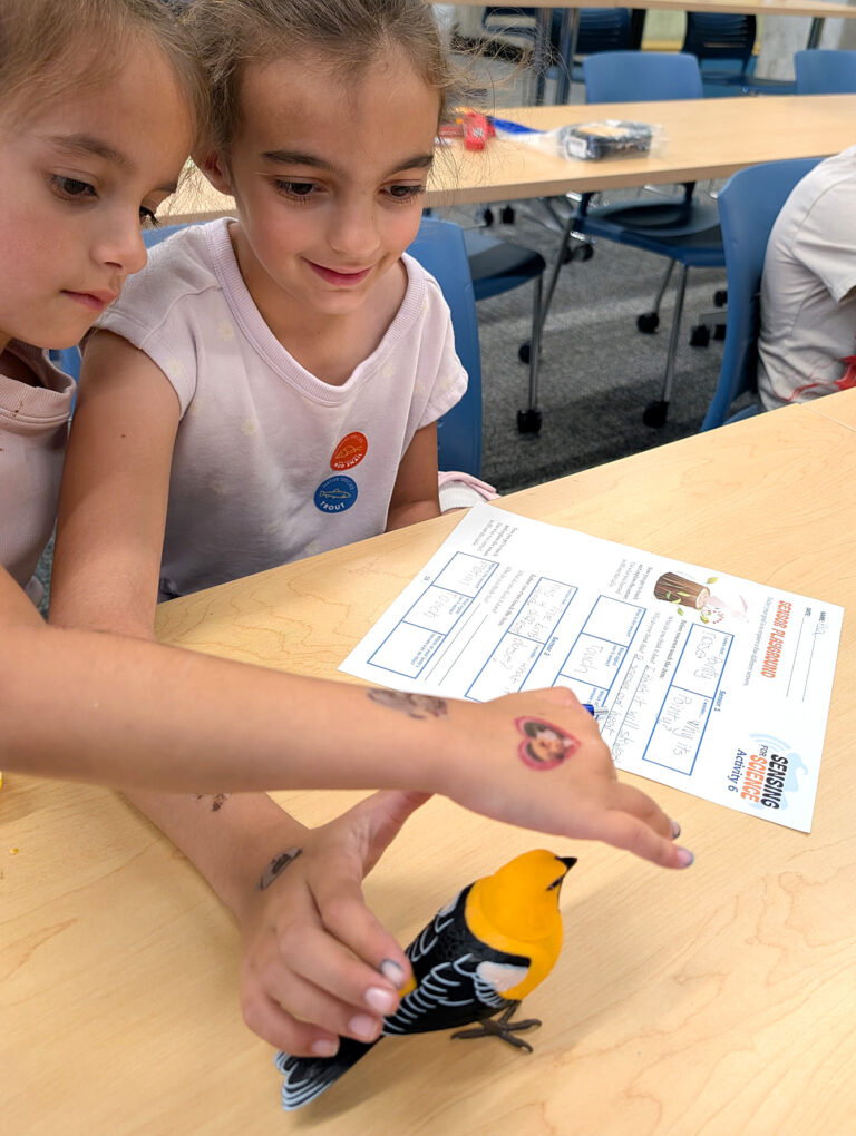SMART FIRES and MSU Support Inclusive STEAM Learning